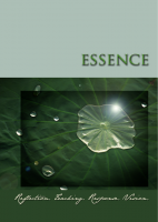 Image of the Essence Workbook